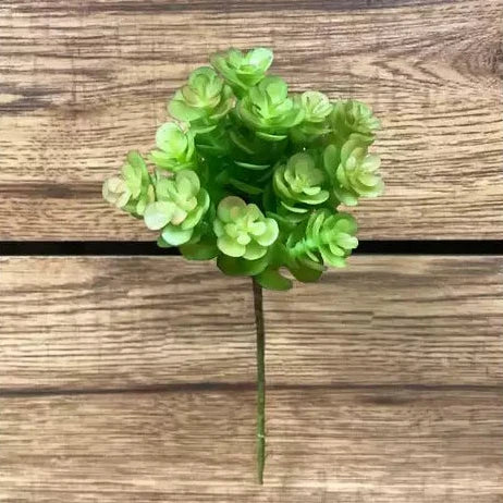 Soft Sedum Pick
