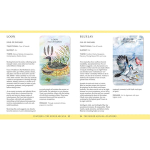 products/spirit-animal-tarot-includes-an-inspirational-book-and-a-full-deck-of-specially-commissioned-tarot-cards-139713.jpg