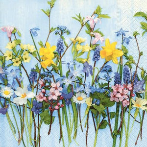 Spring Flowers - Paper Napkins