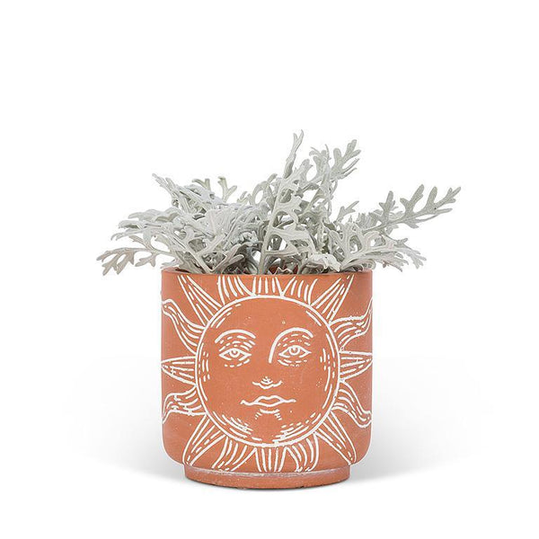 Sun Face Planter