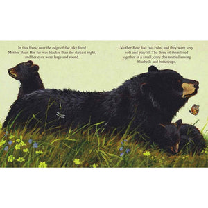 products/the-legend-of-sleeping-bear-hardcover-book-641102.jpg