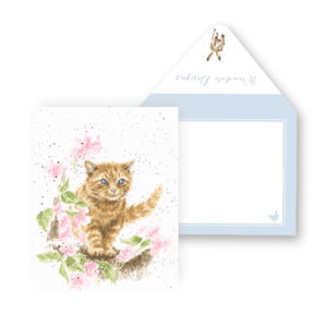 The Marmalade Cat - Enclosure Greeting Card - Blank