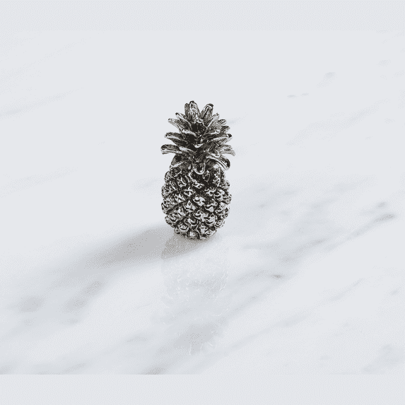 The Pineapple Tradition Charm