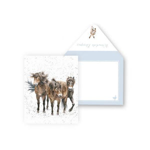 Three Amigos - Enclosure Greeting Card - Blank