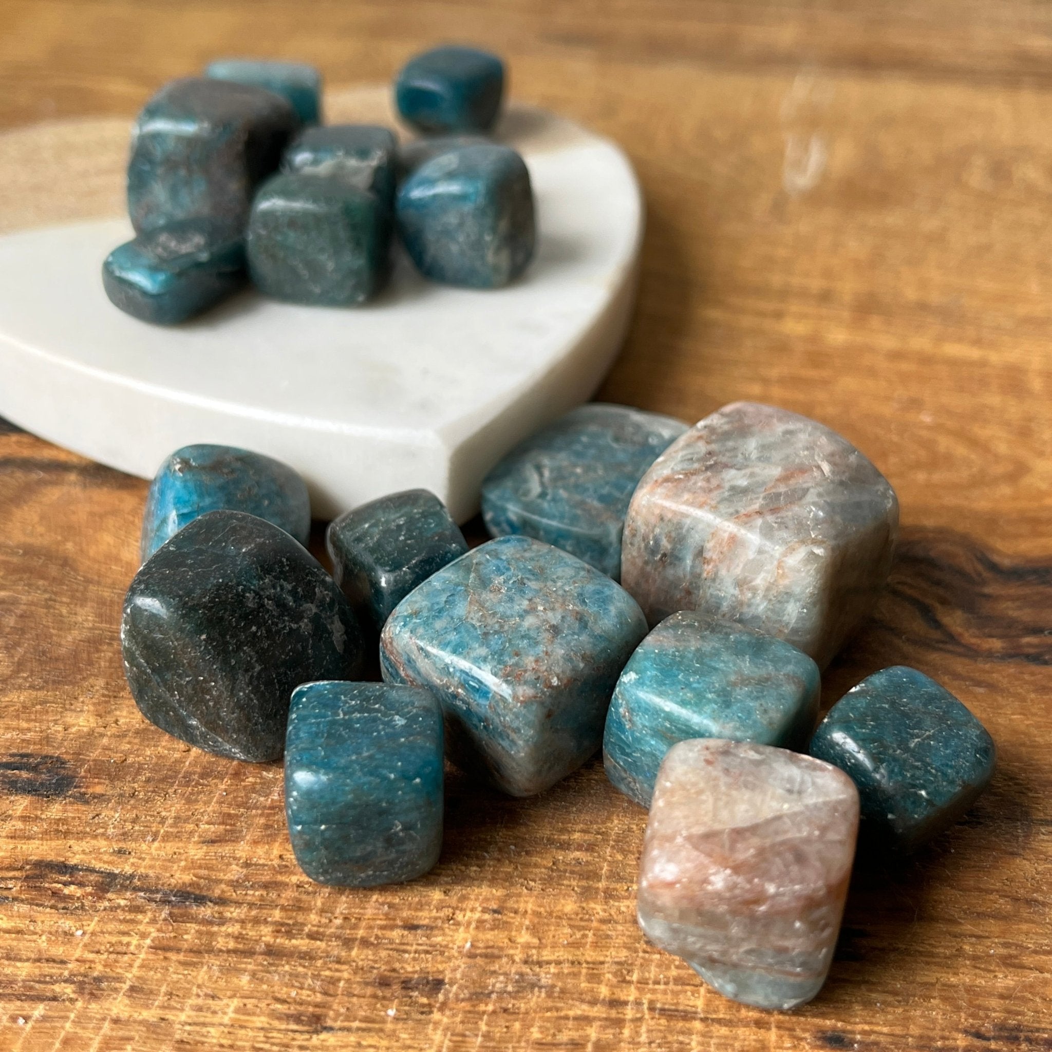 置物 pluie PIEDRA blue Zurn ZXN-415-8Y Heavy-Duty Floor Drain w 8