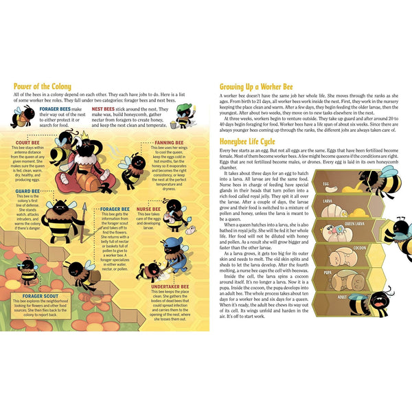 Turn This Book Into A Beehive! - Paperback Book