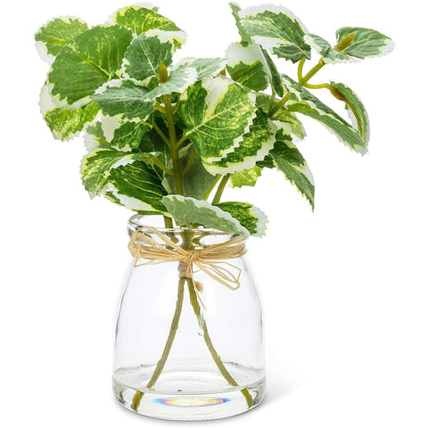 Variegated Greenery in Glass Vase
