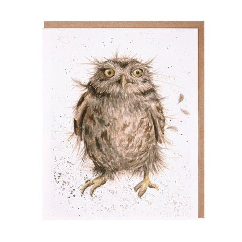 What a Hoot - Greeting Card - Blank