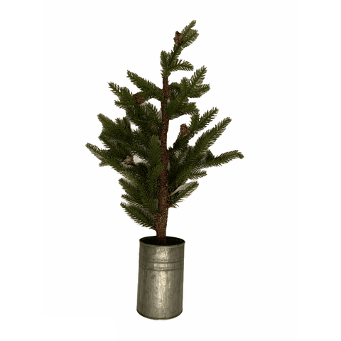 Woodsy Spruce Tree In Galvanized Pot