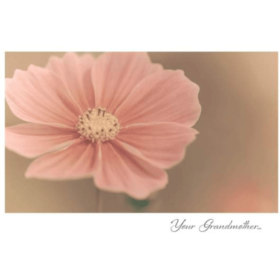 Your Grandmother - Greeting Card - Sympathy